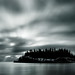 Shawn Moody Photo 10