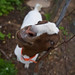 Jamie Goad Photo 8