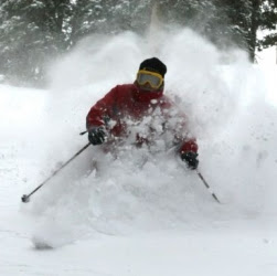 Scott Fortner Photo 25