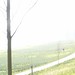 Misty Dees Photo 2