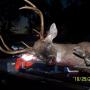 Ryan Higginbotham Photo 24