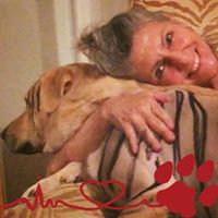 Carol Howard Photo 32