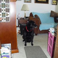 Nancy Huff Photo 6