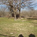 Haley Smith Photo 9