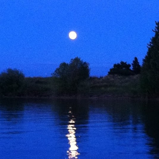 Denise Timmons Photo 20