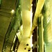 Craig Baumgartner Photo 17