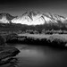 Tom Singh Photo 8