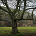 Joseph Urban Photo 31