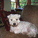 Robert Wingate Photo 14