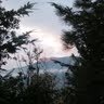 Suzanne Henson Photo 7