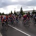 Larry Haskins Photo 37