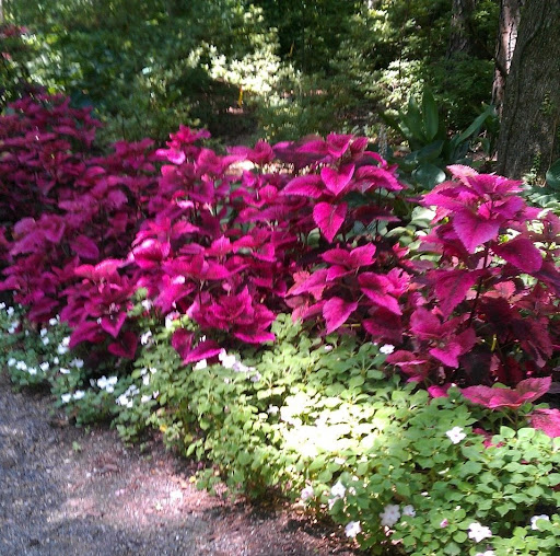 Connie Henderson Photo 32