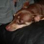 Robert Sommers Photo 15