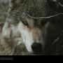 Sandra Snider Photo 32