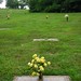 Elizabeth Wiley Photo 24
