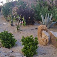Pamela Fortin Photo 7