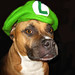 Eddie Wells Photo 13