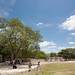 Mark Plaza Photo 15