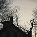 Thomas Hill Photo 38