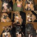 Jose Romera Photo 8