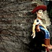 Linda Woody Photo 21