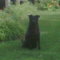 Kelly Allred Photo 9