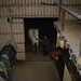 Connie Stabler Photo 4