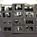 Sharon Finley Photo 25