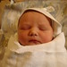 Alexander Taylor Photo 15