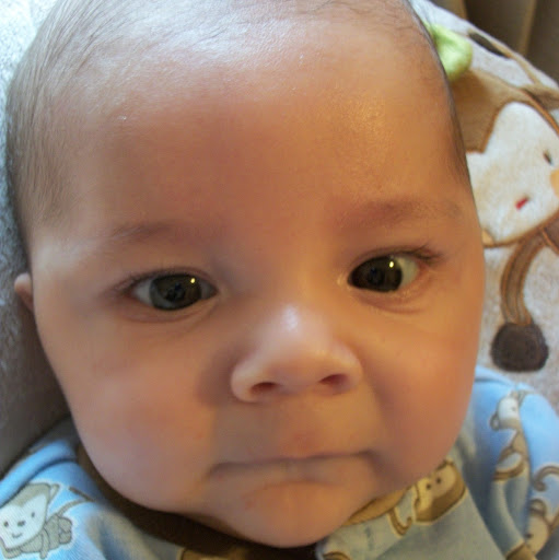 Henry Becker Photo 11