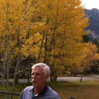 Anne Plummer Photo 18