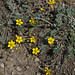 Raymond Meadows Photo 13