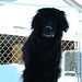 Renee Raven Photo 13