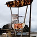 Terry Spring Photo 8