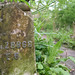 Alice Abney Photo 8