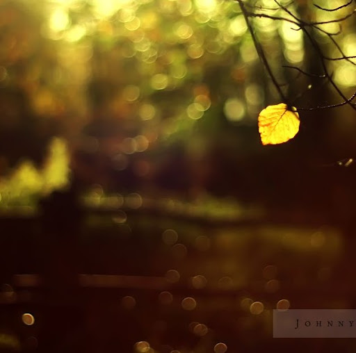Nelson Chen Photo 32