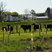 Carroll May Photo 5