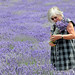 Carole Fields Photo 23