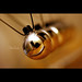 Jann Wood Photo 9