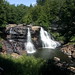 Virginia Black Photo 23