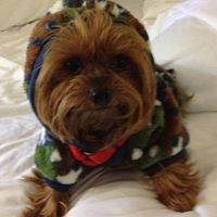 Gail Garrison Photo 12
