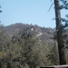 Kimberly Faulkner Photo 13