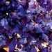 Crystal Rich Photo 15