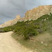 Cliff Clay Photo 6