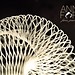 Anna Fine Photo 15