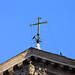 Andrea Cross Photo 10