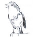 Judy Maynard Photo 9