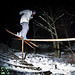 Kevin Curran Photo 18