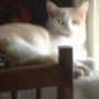 Suzanne Stover Photo 14