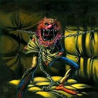 Patrick Roche Photo 37